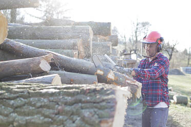 Holzfäller beim Schneiden von Baumstämmen mit der Kettensäge an einem sonnigen Tag - HMEF00941