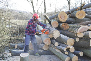 Holzfäller beim Schneiden von Baumstämmen mit der Kettensäge im Wald - HMEF00942
