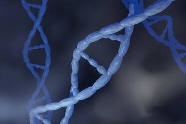 3D gerenderte Illustration, Visualisierung der DNA-Doppelhelix, die die Gene eines biologischen Organismus trägt - SPCF00670