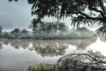 Demokratische Republik Kongo, Garamba-Fluss in der nebligen Morgendämmerung - DSGF02067