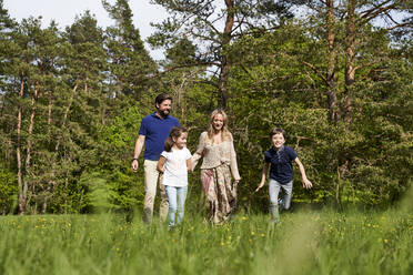 Familie im Gras gegen Bäume an einem sonnigen Tag - AUF00524