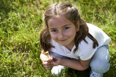 Nettes Mädchen hockt und hält eine kleine gelbe Blume an einem sonnigen Tag - AUF00528