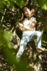 Girl holding leaves while sitting on tree trunk - AUF00535