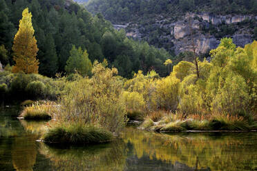 Spanien, Provinz Guadalajara, Blick auf das Naturschutzgebiet Alto Tajo im Herbst - DSGF02081