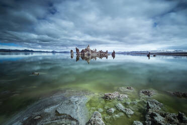 Der algenreiche, grün leuchtende Mono Lake in Nordkalifornien - CAVF83763