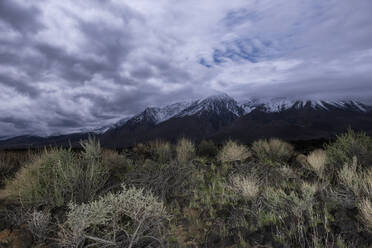 Desert Boulders in den Alabama Hills vor dem angrenzenden Amer - CAVF83839