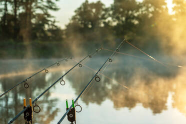 Carp fishing rods misty lake. stock photo