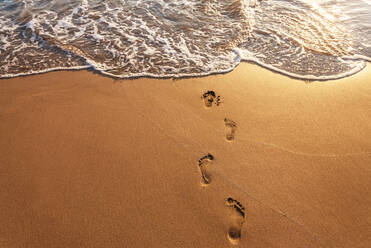 Footsteps on the beach at summer. - CAVF84038