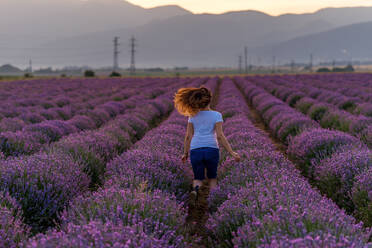 Woman on lavender field at summer. - CAVF84039