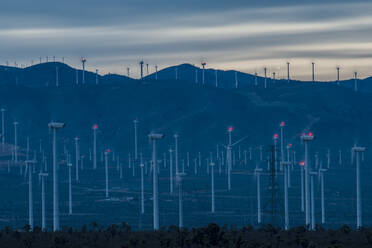 Windparks an den Berghängen bei Tehachapi, Kalifornien - CAVF84090