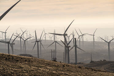 Windmühlen am kalifornischen Berghang in der Mojave-Wüste - CAVF84111