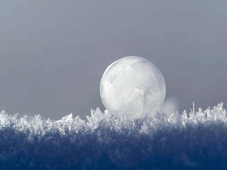 Frosted bubble in winter - BSTF00171