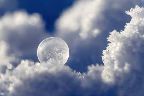 Frosted bubble in winter - BSTF00172