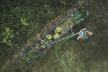 Aerial view of woman watering vegetables growing in raised bed at yard - HMEF00946