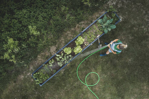 Luftaufnahme einer Frau, die Gemüse in einem Hochbeet im Garten gießt - HMEF00946