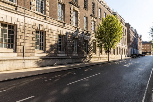 UK, London, Empty road during curfew with tree in Bloomsbury neighbourhood - WPEF02966