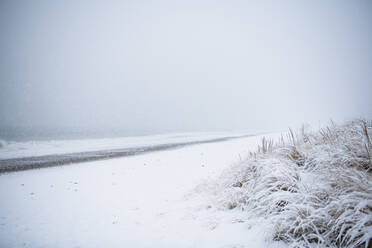 Beach covered in winter snow - CAVF84270