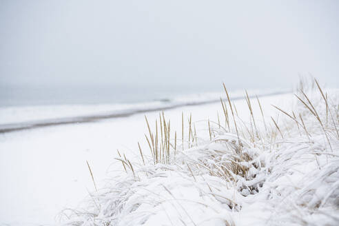 Schneebedeckter Strand im Winter - CAVF84288