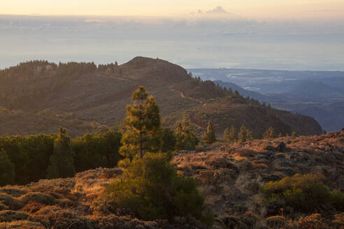 Landschaft des Pico Las Nieves, Gran Canaria - CAVF84348