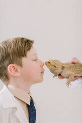 Child nose to nose with bearded dragon - CAVF84374