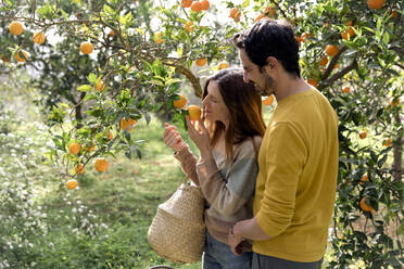 Freund sieht seine Freundin an und riecht an Orangen, die auf einem Bauernhof wachsen - LVVF00013