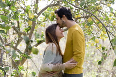 Loving man kissing on girlfriend's forehead while standing by lemon tree in farm - LVVF00018