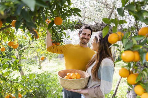 Glückliches Paar beim Orangenpflücken auf einem Bio-Bauernhof, lizenzfreies Stockfoto