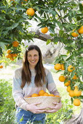 Smiling woman carrying oranges in wicker basket at organic farm - LVVF00033