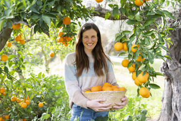 Smiling mid adult woman carrying oranges in wicker basket at organic farm - LVVF00034
