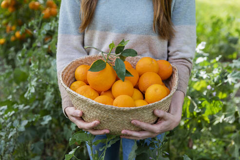 Nahaufnahme einer Frau, die Orangen in einem Weidenkorb trägt, während sie inmitten von Pflanzen auf dem Lande steht - LVVF00036