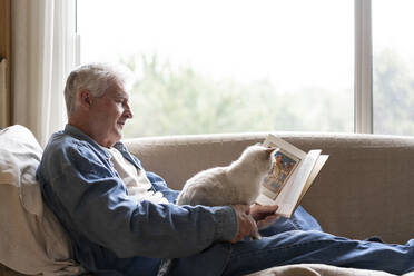 Älterer Mann liest ein Buch und sitzt mit seiner Katze auf dem Sofa am Fenster - AFVF06563