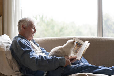 Senior man reading book while sitting with cat on sofa by window at home - AFVF06563