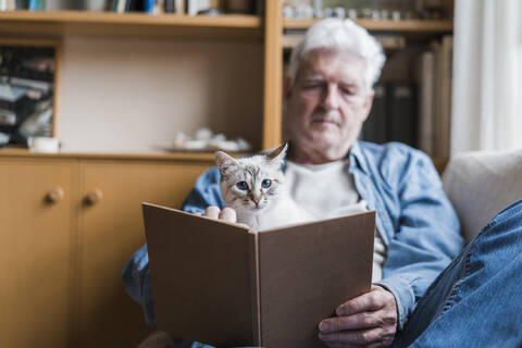 Älterer Mann liest ein Buch und sitzt mit seiner Katze auf dem Sofa zu Hause, lizenzfreies Stockfoto