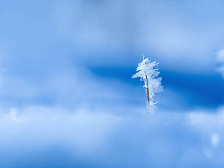 Small ice crystals - BSTF00178