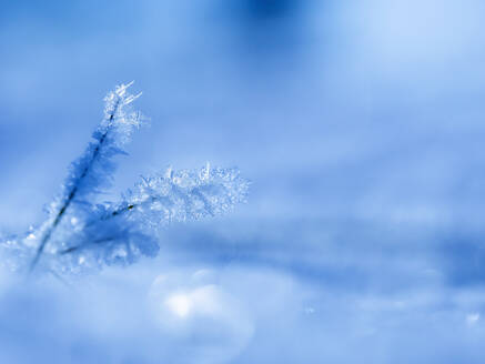 Small ice crystals - BSTF00179