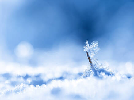 Small ice crystals - BSTF00180