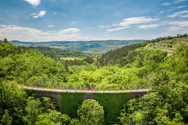 Luftaufnahme der Freski-Brücke und des Tunnels, umgeben von Bäumen in Antonci, Kroatien, Kroatien - AAEF08780