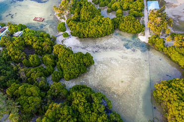 Luftaufnahme von Mangroven mit einem Schiffswrack, Huraa, Nord Malé Atoll, Malediven, Indischer Ozean - AAEF08885
