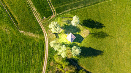 Luftaufnahme einer Frühlingslandschaft mit Bäumen und einer Hütte, Deutschland, Marbach - AAEF08892