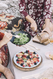 Frau schneidet Brot und Freund hält Salat beim Picknick - ALBF01257
