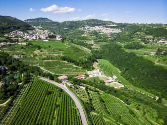 Italien, Venetien, Verona, Drohnenaufnahme von Valpolicella-Weinbergen im Sommer - GIOF08344