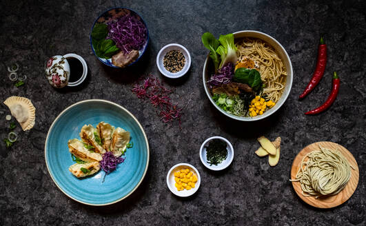 Nahaufnahme einer Auswahl von Gerichten in einem Ramen- und Gyoza-Restaurant in Italien. - ISF24213