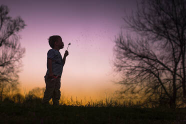 Kleiner Junge bläst Löwenzahn Silohette warme Sommernacht Sonnenuntergang Bäume - CAVF84464