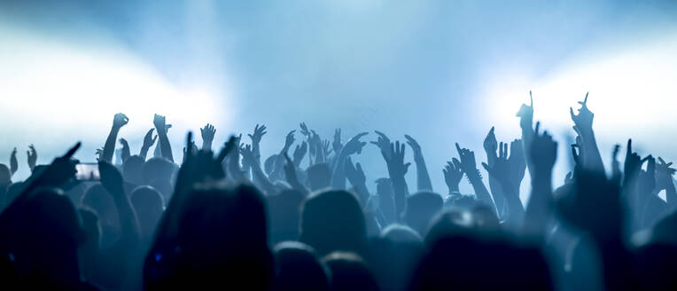 Rückansicht der Silhouette Crowd genießen während Musik-Konzert - EYF05039
