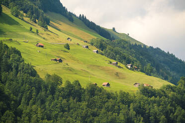 Blick auf Felder und Häuser vom Burgenstock am Vierwaldstättersee - CAVF84487