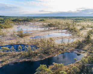 Luftaufnahme des Viru Raba oder Moorsumpfes im Lahemaa-Nationalpark im Herbst - CAVF84489