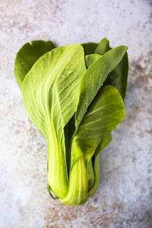 Studioaufnahme von frischem Bok Choy-Kohl - GIOF08347