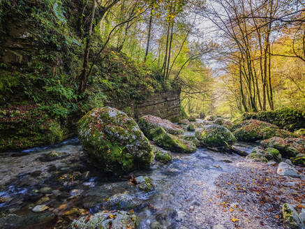 Slowenien, der Fluss Soca fließt zwischen moosbewachsenen Felsbrocken im Herbstwald - HAMF00620