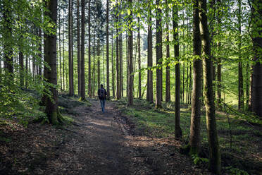 Germany, Bavaria, Egling, Male hiker walking along forest footpath - MAMF01268