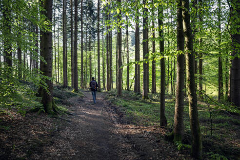 Deutschland, Bayern, Egling, Männlicher Wanderer auf Waldpfad - MAMF01268